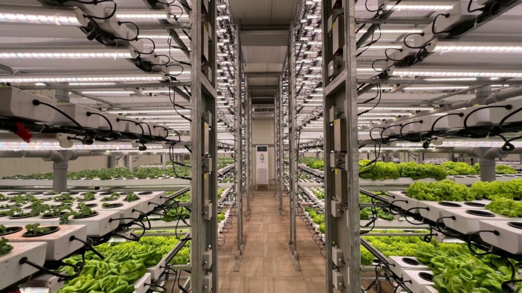 Cllimate change and the food industry - reliance on synthetic fertilisers, pesticides, and fossil fuels