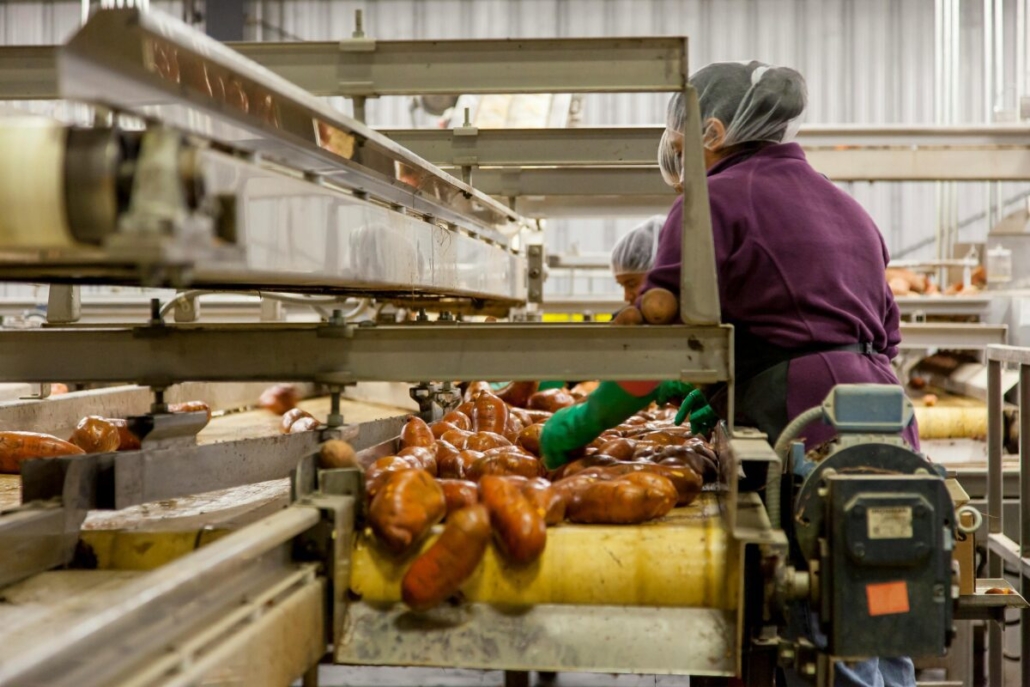 Climate change and the food industry: Food manufacturing often requires large amounts of water, particularly for cleaning and sanitation.