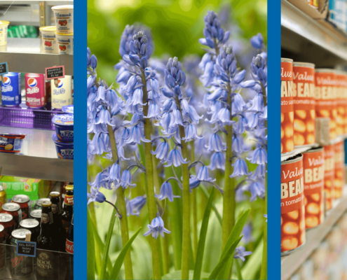 Food and beverage, climate change, bluebells