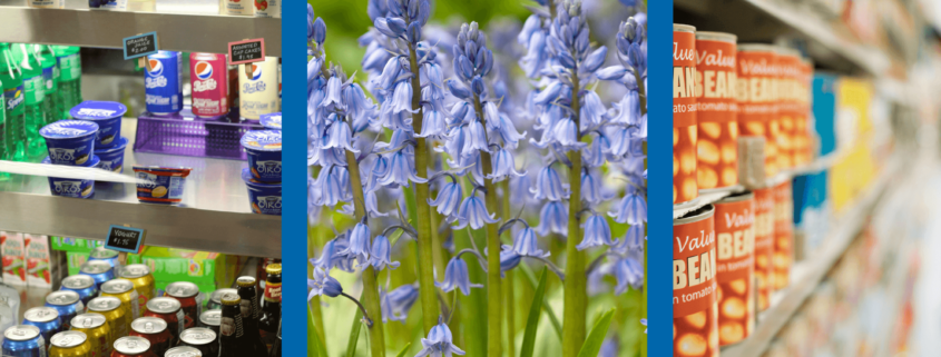 Food and beverage, climate change, bluebells
