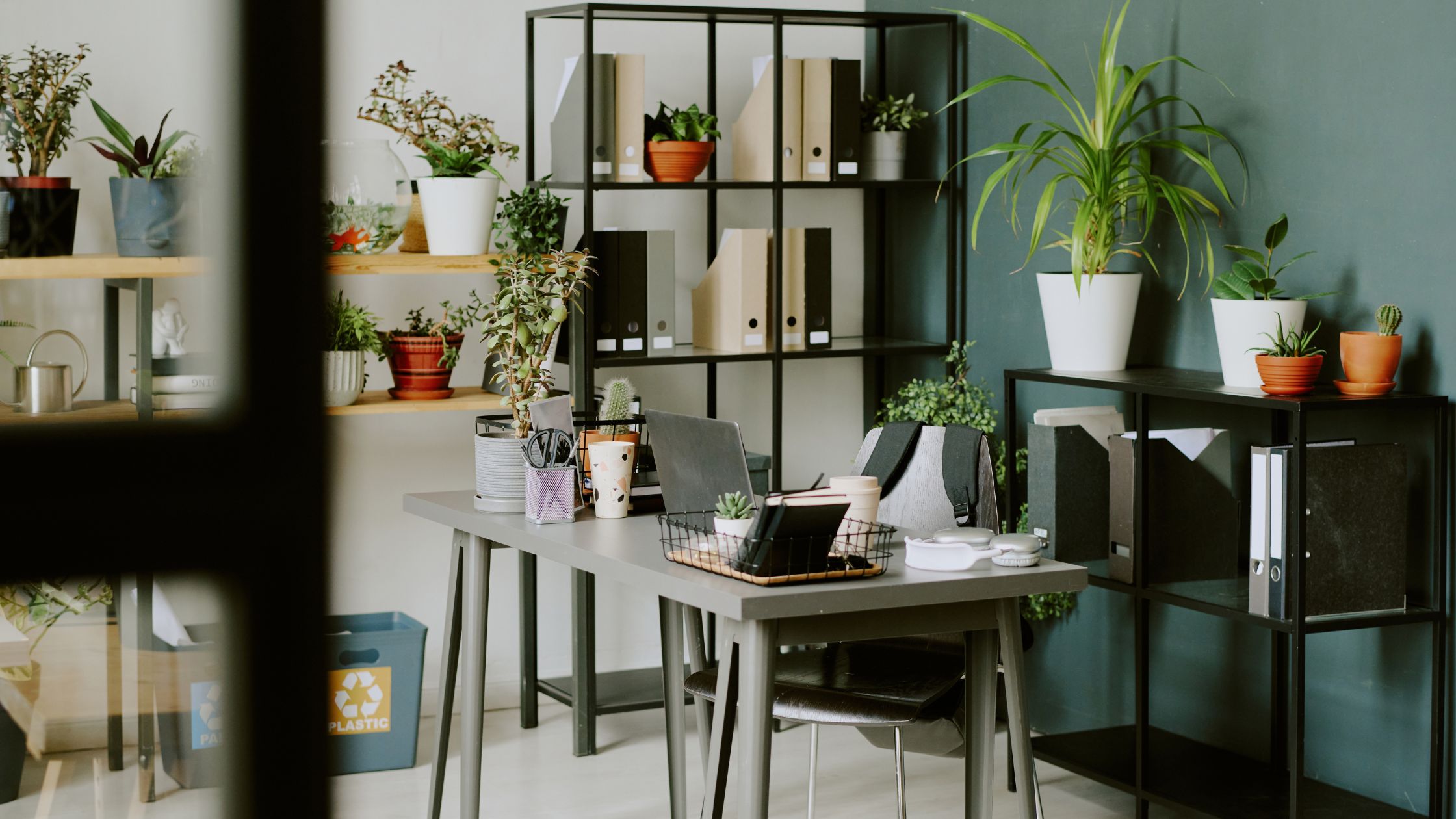 Sustainable office with plants and recycle bins