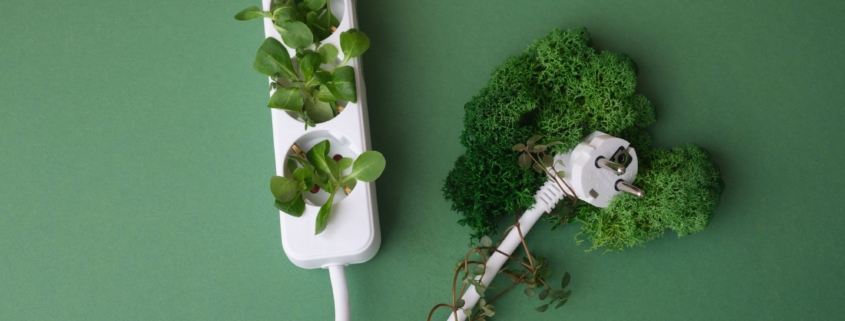 Sustainable Office: Image showing plug sockets with plants.